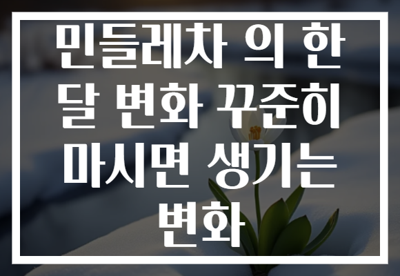 민들레차 의 한 달 변화 꾸준히 마시면 생기는 변화