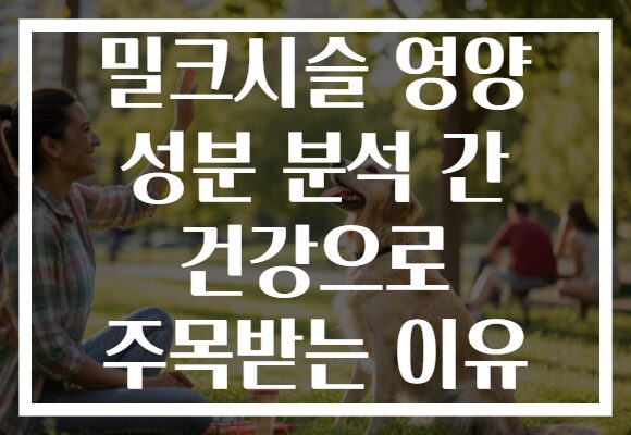 밀크시슬 영양 성분 분석 간 건강으로 주목받는 이유
