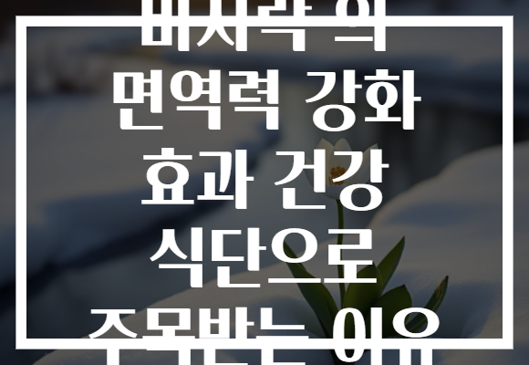 바지락 의 면역력 강화 효과 건강 식단으로 주목받는 이유