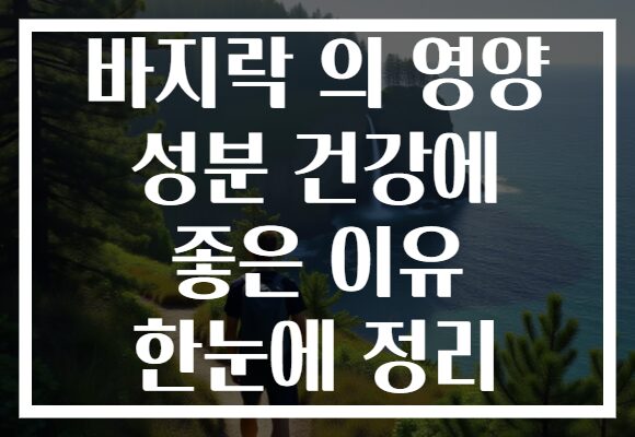 바지락 의 영양 성분 건강에 좋은 이유 한눈에 정리
