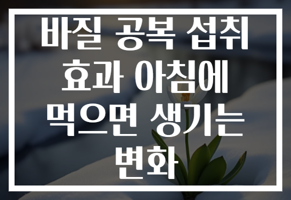 바질 공복 섭취 효과 아침에 먹으면 생기는 변화