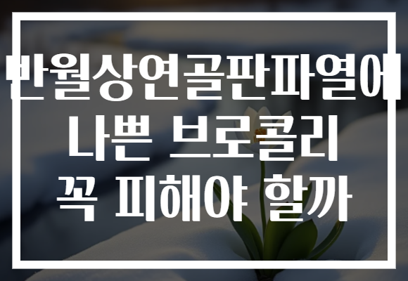 반월상연골판파열에 나쁜 브로콜리 꼭 피해야 할까