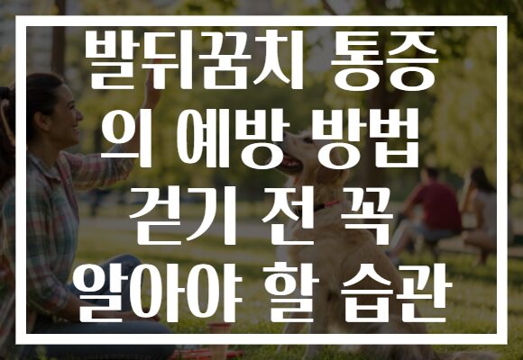 발뒤꿈치 통증 의 예방 방법 걷기 전 꼭 알아야 할 습관