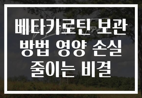 베타카로틴 보관 방법 영양 손실 줄이는 비결