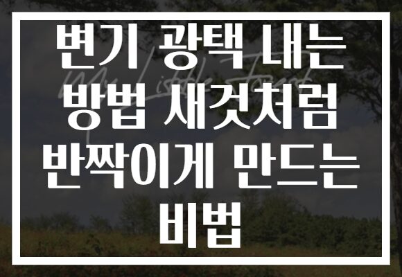 변기 광택 내는 방법 새것처럼 반짝이게 만드는 비법
