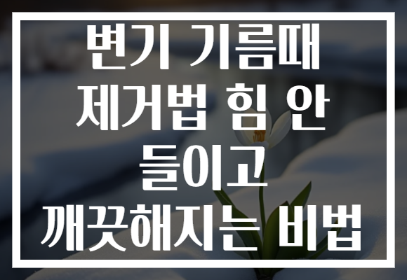 변기 기름때 제거법 힘 안 들이고 깨끗해지는 비법