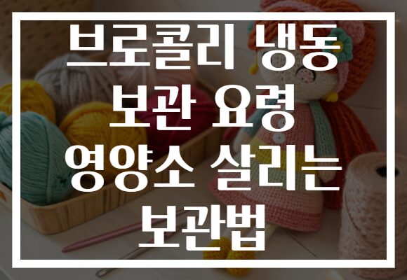 브로콜리 냉동 보관 요령 영양소 살리는 보관법