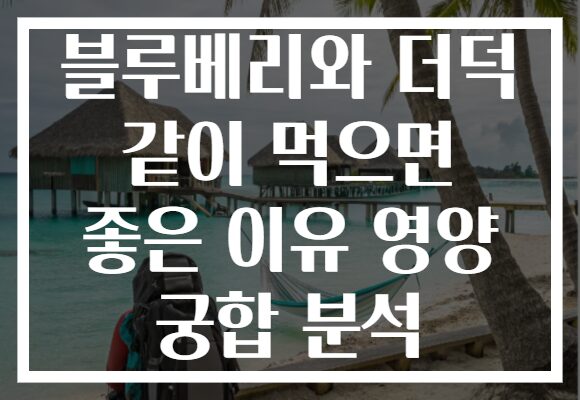 블루베리와 더덕 같이 먹으면 좋은 이유 영양 궁합 분석