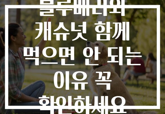 블루베리와 캐슈넛 함께 먹으면 안 되는 이유 꼭 확인하세요