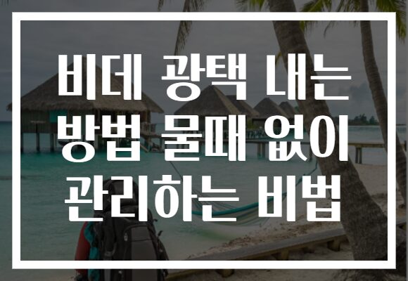 비데 광택 내는 방법 물때 없이 관리하는 비법