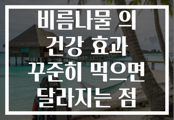 비름나물 의 건강 효과 꾸준히 먹으면 달라지는 점