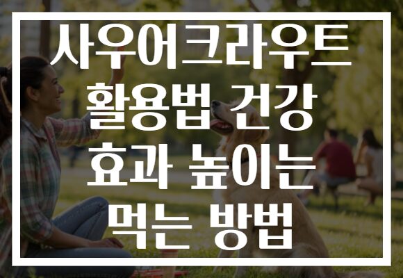 사우어크라우트 활용법 건강 효과 높이는 먹는 방법
