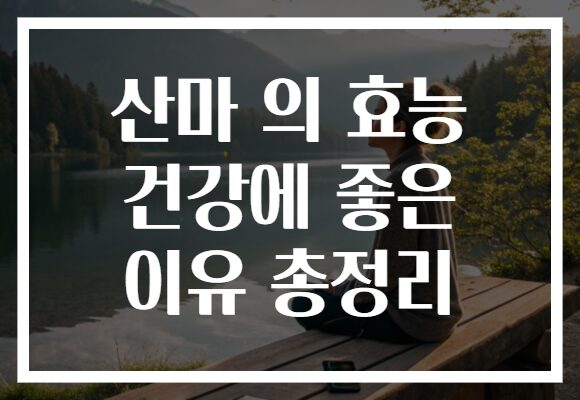 산마 의 효능 건강에 좋은 이유 총정리