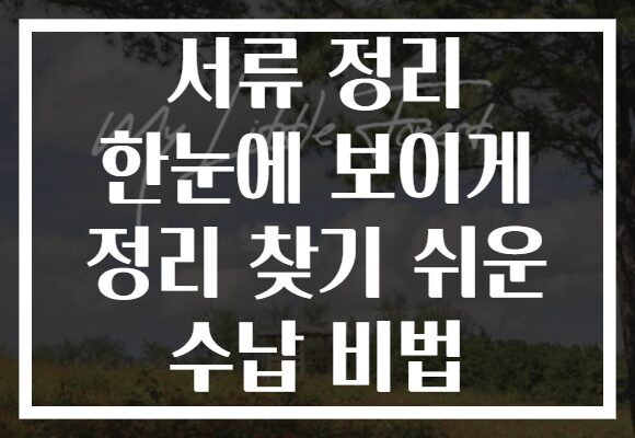 서류 정리 한눈에 보이게 정리 찾기 쉬운 수납 비법