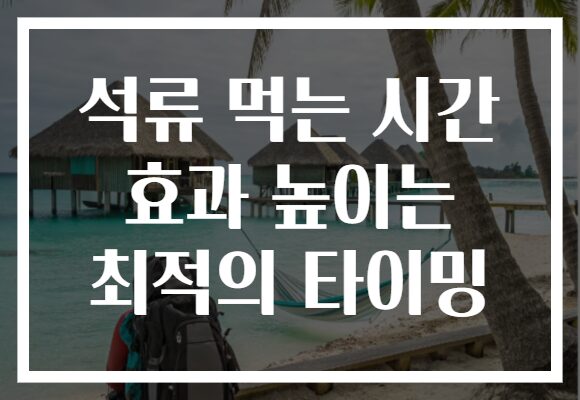 석류 먹는 시간 효과 높이는 최적의 타이밍