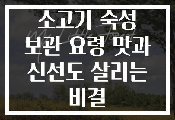 소고기 숙성 보관 요령 맛과 신선도 살리는 비결