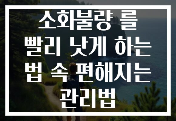 소화불량 를 빨리 낫게 하는 법 속 편해지는 관리법