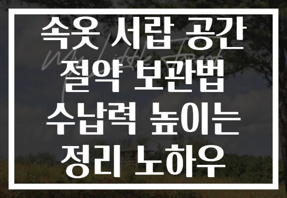 속옷 서랍 공간 절약 보관법 수납력 높이는 정리 노하우