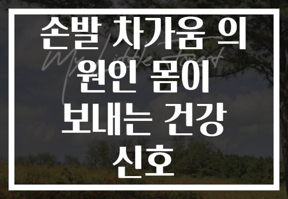 손발 차가움 의 원인 몸이 보내는 건강 신호