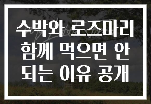 수박와 로즈마리 함께 먹으면 안 되는 이유 공개