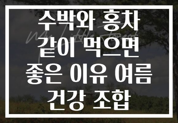 수박와 홍차 같이 먹으면 좋은 이유 여름 건강 조합