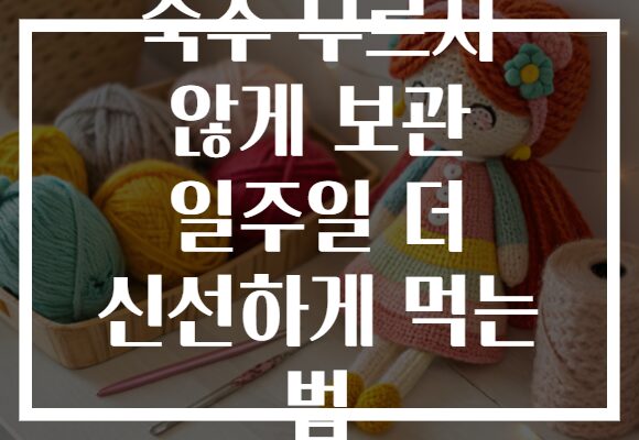 숙주 무르지 않게 보관 일주일 더 신선하게 먹는 법