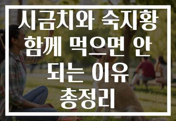 시금치와 숙지황 함께 먹으면 안 되는 이유 총정리