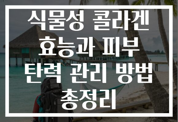 식물성 콜라겐 효능과 피부 탄력 관리 방법 총정리