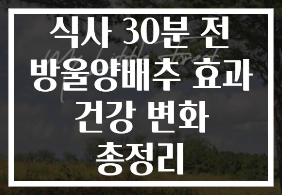 식사 30분 전 방울양배추 효과 건강 변화 총정리