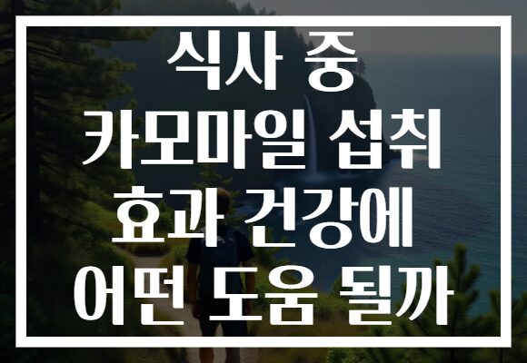 식사 중 카모마일 섭취 효과 건강에 어떤 도움 될까