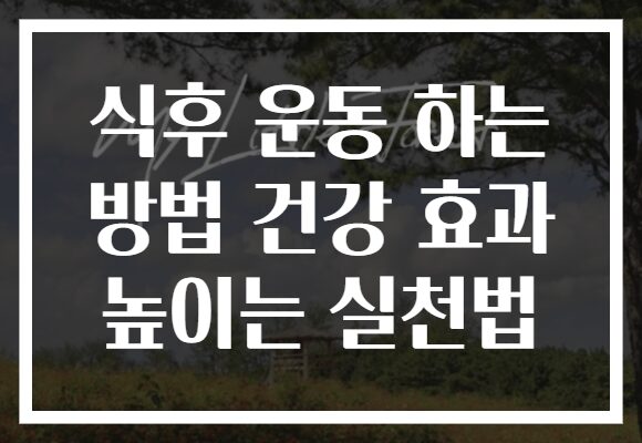 식후 운동 하는 방법 건강 효과 높이는 실천법