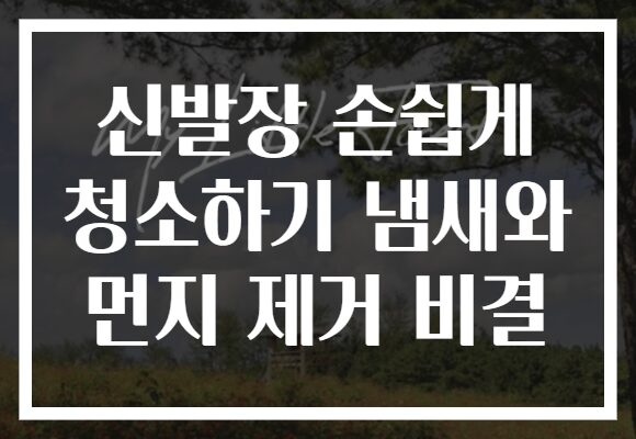 신발장 손쉽게 청소하기 냄새와 먼지 제거 비결
