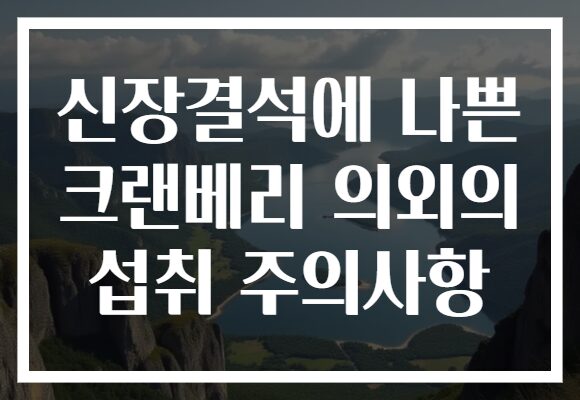 신장결석에 나쁜 크랜베리 의외의 섭취 주의사항