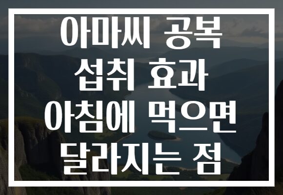 아마씨 공복 섭취 효과 아침에 먹으면 달라지는 점
