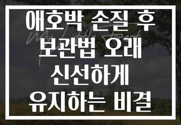 애호박 손질 후 보관법 오래 신선하게 유지하는 비결