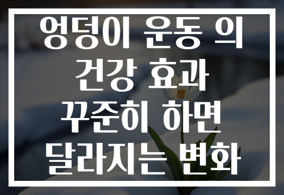 엉덩이 운동 의 건강 효과 꾸준히 하면 달라지는 변화