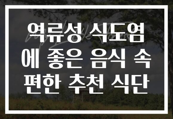 역류성 식도염 에 좋은 음식 속 편한 추천 식단