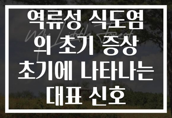 역류성 식도염 의 초기 증상 초기에 나타나는 대표 신호