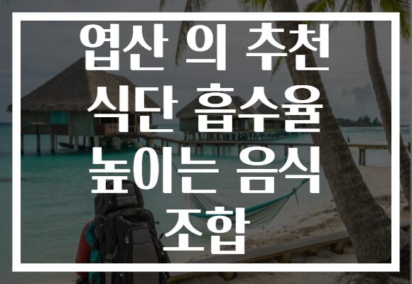 엽산 의 추천 식단 흡수율 높이는 음식 조합