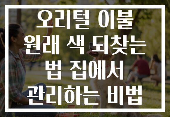 오리털 이불 원래 색 되찾는 법 집에서 관리하는 비법