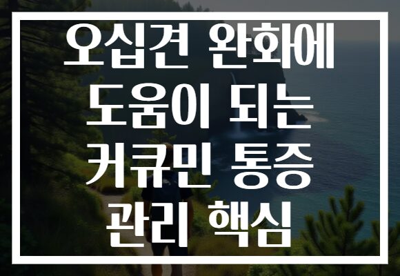 오십견 완화에 도움이 되는 커큐민 통증 관리 핵심