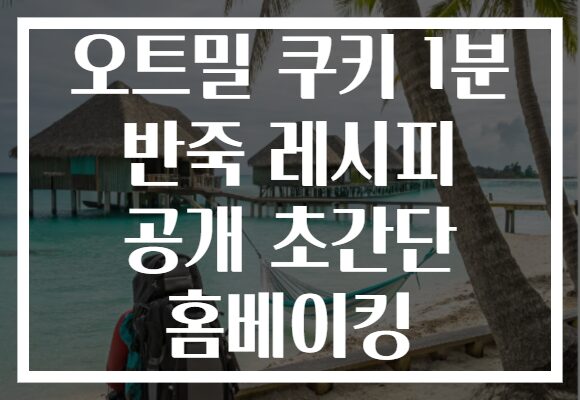 오트밀 쿠키 1분 반죽 레시피 공개 초간단 홈베이킹