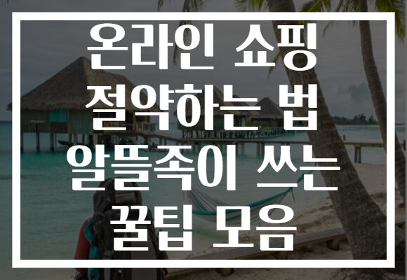 온라인 쇼핑 절약하는 법 알뜰족이 쓰는 꿀팁 모음