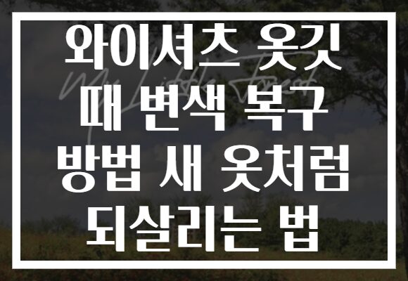 와이셔츠 옷깃 때 변색 복구 방법 새 옷처럼 되살리는 법