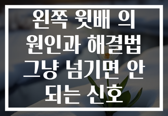 왼쪽 윗배 의 원인과 해결법 그냥 넘기면 안 되는 신호