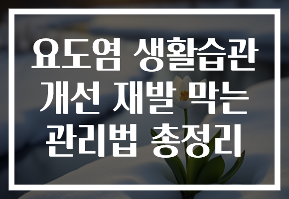 요도염 생활습관 개선 재발 막는 관리법 총정리