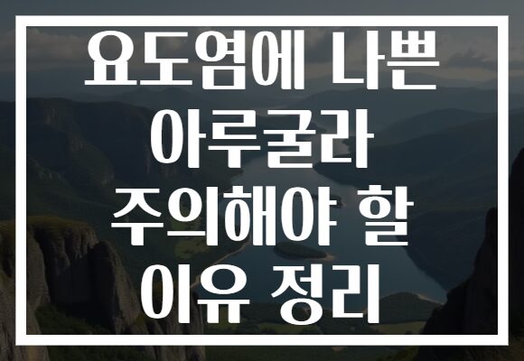 요도염에 나쁜 아루굴라 주의해야 할 이유 정리