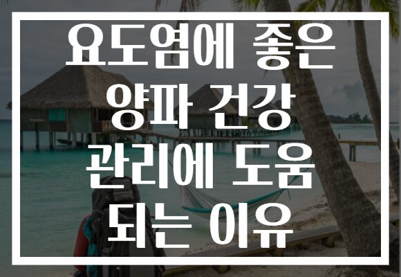 요도염에 좋은 양파 건강 관리에 도움 되는 이유