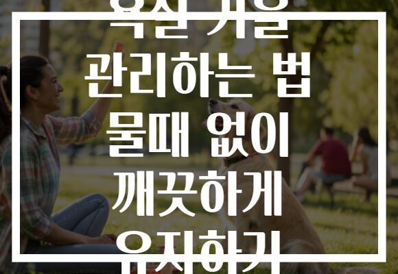 욕실 거울 관리하는 법 물때 없이 깨끗하게 유지하기