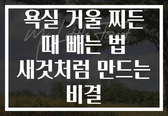 욕실 거울 찌든 때 빼는 법 새것처럼 만드는 비결